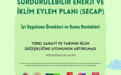 Araştırma Raporu Tamamlandı